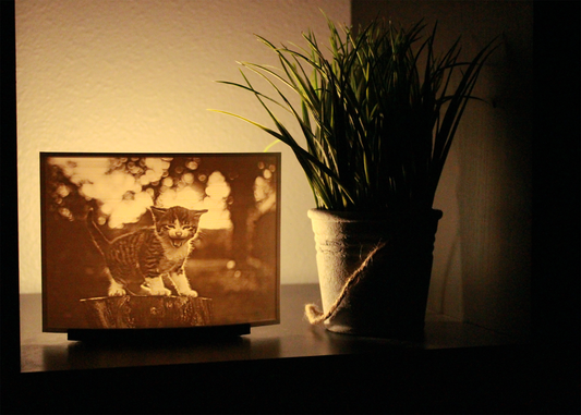 Table Lamp - Personalized 3D Printed Light Up Lithophane Lamp
