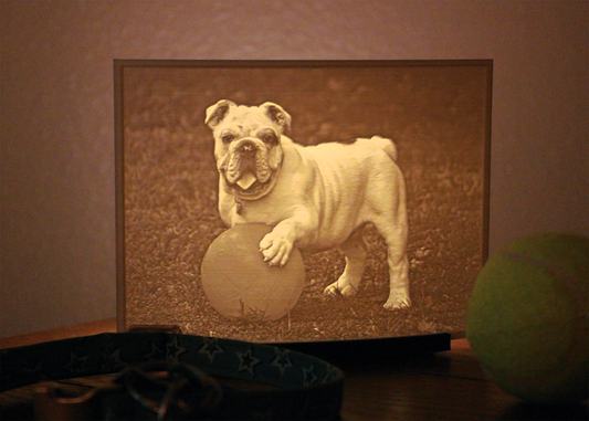 Table Lamp - Personalized 3D Printed Light Up Lithophane Lamp